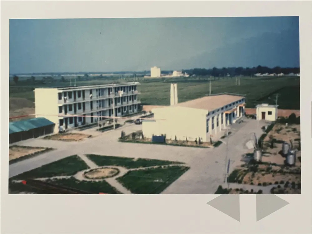 In 1996